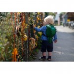 Раница LittleLife Крокодил L10812, С повод